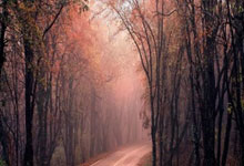 兰博电竞官网：伤病满营，名勒沃库森球员将因伤缺席对阵斯图加特的比赛.