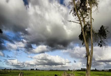 兰博电竞官网：2025世锦赛种子落位：中国斯诺克四人创历史，吴宜泽依然有戏.