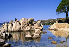 蒯曼一日三胜 王曼昱无缘卫冕新加坡大满贯女单冠军.